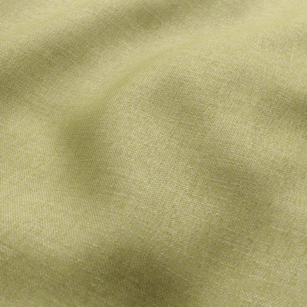 Bronco